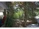 Backyard area with a wooded scene, stairs, and the home's structure at 3904 Birchwood St., North Myrtle Beach, SC 29582