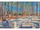 Bocce ball court and picnic tables, nestled among tall trees offering a serene setting for outdoor recreation at 111 Hickory Dr., Conway, SC 29526
