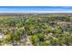 Expansive aerial view of a vibrant neighborhood with tree-lined streets under a clear blue sky at 1213 Oak St., Conway, SC 29526