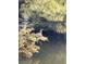 Beautiful image of a bird perched on a tree branch above a pond at 5361 Ocean Village Dr., Myrtle Beach, SC 29577