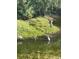 Scenic marsh view with various bird species in their natural habitat at 5361 Ocean Village Dr., Myrtle Beach, SC 29577