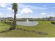 View of backyard and community pond with fountain, framed by a palm tree on a sunny day at 7037 Grant St., Little River, SC 29566