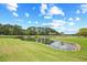 Scenic pond surrounded by lush green grass and trees creating a serene golf course view at 25 Bentley Ct., Pawleys Island, SC 29585