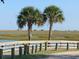 Scenic backyard view with palm trees and a dock, showcasing natural beauty and access to waterfront enjoyment at 66 Northbrook Dr, Murrells Inlet, SC 29576