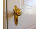 Close up of a decorative antique doorknob at 817 Evans Rd., Marion, SC 29571