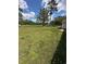 Lush backyard with vibrant grass, scattered weeds, and a utility shed at 1014 Mimosa Ct., Conway, SC 29527