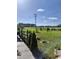 Beautiful front yard with manicured lawn, trimmed evergreens, and decorative landscape elements at 1210 Horry Rd., Aynor, SC 29511