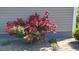 Exterior shot of a well maintained flower garden with roses along the side of the home at 1210 Horry Rd., Aynor, SC 29511