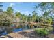 Scenic pond surrounded by lush trees and vegetation, providing a serene natural backdrop at 1098 Stanton Pl., Myrtle Beach, SC 29579