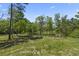 Expansive backyard featuring lush green grass and mature trees, offering a peaceful and private outdoor retreat at 1651 Weldon Ln., Conway, SC 29526