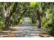 Scenic driveway lined with moss-draped trees leading to a charming home at 35 Red Skiff Ln. # 35, Pawleys Island, SC 29585