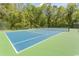 A vacant tennis court featuring a vibrant blue playing surface with green outer zones and a tall black net at 646 Tupelo Ln. # 4E, Longs, SC 29568