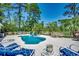 Outdoor pool area with patio furniture surrounded by lush landscaping and mature trees at 8261 Timber Ridge Rd., Conway, SC 29526