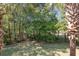 Lush backyard with palm trees and view of a dense forest at 19 Pistachio Loop # G, Murrells Inlet, SC 29576