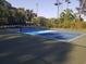 Well-maintained pickleball court with blue and green surface, perfect for active community engagement at 1000 Ray Costin Way # 108, Murrells Inlet, SC 29576