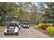 Several golf carts parked near lush trees and vegetation at 1106 Cherrystone Loop, Conway, SC 29526
