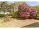 Lush backyard with colorful bushes and trees, offering privacy at 1512 Hallborough Dr., Surfside Beach, SC 29575