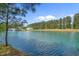 Scenic view of a pond with a fountain and surrounding trees at 227 Hickory Springs Ct., Conway, SC 29527