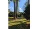 Picturesque backyard featuring tall pines, lush greenery, and natural shade at 302 St. Andrews Ln., Myrtle Beach, SC 29588