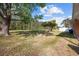 Expansive backyard featuring a large grassy area and mature trees, perfect for outdoor activities at 3731 Spruce Dr., Myrtle Beach, SC 29577