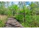 Wooden path winding through lush green vegetation, offering a scenic view at 70 Izard Pl., Georgetown, SC 29440