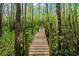 Tranquil wooded path surrounded by trees, perfect for a nature walk at 70 Izard Pl., Georgetown, SC 29440