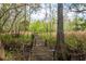 Scenic wooded path through marshy area with lush greenery and tall trees on a bright day at 70 Izard Pl., Georgetown, SC 29440