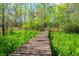 Wooden walkway surrounded by lush greenery, creating a serene nature experience at 70 Izard Pl., Georgetown, SC 29440