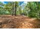 Picturesque land with trees and foliage, the perfect property for outdoor activities and enjoyment at 70 Izard Pl., Georgetown, SC 29440