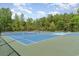 Well-maintained tennis courts ready for a friendly match, set in a lush green environment at 7041 Turtle Cove Dr., Myrtle Beach, SC 29579