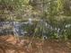 View of a serene pond surrounded by lush vegetation, offering a natural escape at 8404 Bloomwood Dr., Myrtle Beach, SC 29588