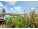Beautiful marshland and grasses on a sunny day at 391 Waterford Dr., Georgetown, SC 29440