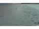 Sandy beach with many footprints; fishing pier in the distance at 69 Sea Level Loop, Pawleys Island, SC 29585