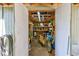 The interior of this shed boasts ample storage with shelving and space for a bicycle, enhancing organization at 4520 Hedrick St., North Myrtle Beach, SC 29582