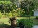 Beautiful patio with potted plants, flowers, and manicured green lawn at 64 Reef Run Rd., Pawleys Island, SC 29585