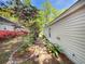 The landscaped side yard features a stone walkway and beautiful shrubs, offering a tranquil outdoor space at 64 Reef Run Rd., Pawleys Island, SC 29585