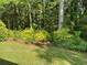 Lush backyard featuring mature trees, green lawn, and manicured shrubbery at 64 Reef Run Rd., Pawleys Island, SC 29585