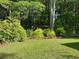 Well-kept backyard with lush grass, green landscaping, and mature trees at 64 Reef Run Rd., Pawleys Island, SC 29585