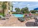 Outdoor pool deck with multiple lounge chairs and a large palm tree overhead at 1200 N Ocean Blvd. N # 905, Myrtle Beach, SC 29577