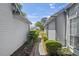 Between two homes is a walkway surrounded by mature landscaping at 1406 Snowy Egret Dr., Murrells Inlet, SC 29576