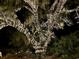 Charming oak tree festooned with holiday lights, creating a magical outdoor atmosphere, perfect for evening strolls at 549 Honeyhill Loop, Conway, SC 29526