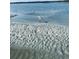 Picturesque beach scene features calm water, rippled sand, and a heron wading in the surf at 6000 Ocean Blvd. N # 108, North Myrtle Beach, SC 29582
