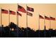 American and state flags waving at sunset, symbolizing community pride and patriotism at 293 Hillsborough Dr., Conway, SC 29526