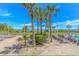 Resort pool area with palm trees, lounge chairs, and clear blue sky for relaxation and enjoyment at 5300 N Ocean Blvd. # 106, Myrtle Beach, SC 29577