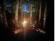 Outdoor fire pit with seating, surrounded by lush trees and soft lighting, perfect for evening relaxation at 190 Hamilton Way, Conway, SC 29526