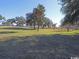 Lush, green acreage dotted with mature trees, offering privacy and natural beauty at 512 Charlton Blvd., Georgetown, SC 29440