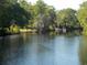 Beautiful riverfront with lush green trees reflected in the calm water, creating a serene and inviting environment at 1465 Dirty Branch Rd., Conway, SC 29527