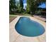 Backyard pool with concrete surround, showcasing a place to unwind and entertain in a private outdoor setting at 2560 Wise Rd., Conway, SC 29526