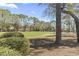 A golf course view through a tree lined backyard at 929 Tidewater Dr., North Myrtle Beach, SC 29582