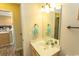 Bright bathroom featuring a white sink and faucet, with beach themed decor at 201 Landing Rd. # D, North Myrtle Beach, SC 29582